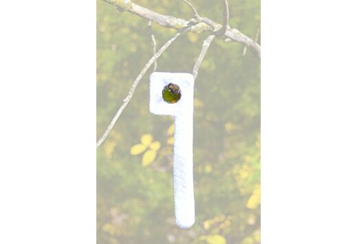 WRC SCENT WICK KEY WICK MAGNUM 2PK