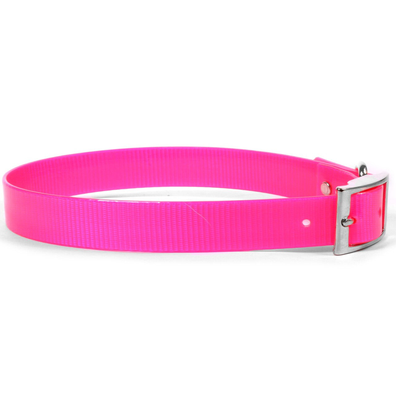 Sunglo Waterproof Dog Collar