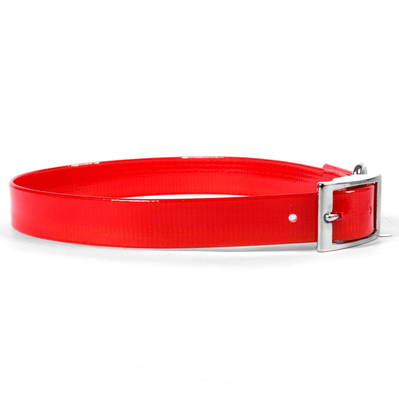 Sunglo Waterproof Dog Collar