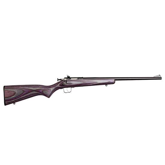 Crickett KSA2227 Crickett 22 LR 1 16.12" Blued Purple Right Youth/Compact Hand