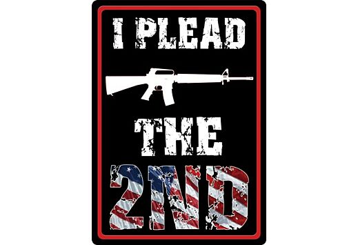 RIVERS EDGE SIGN 12"x17" "I PLEAD THE SECOND"