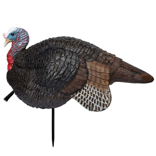 Primos Lil Gobstopper Jake Turkey Decoy Set