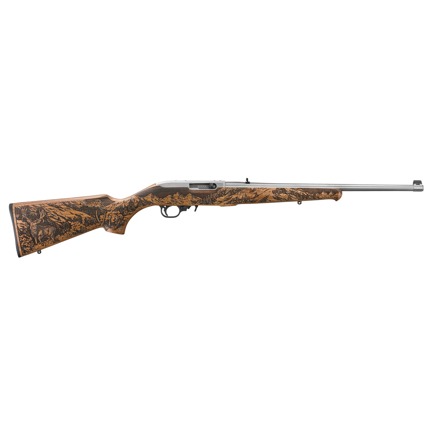 Ruger, 10/22, Mule Deer Foundation, TALO, Semi-automatic Rifle, 22 LR, 18.5" Barrel, Satin Stainless Finish, Mule Deer Engraved Walnut Stock, Gold Bead Front Sight, 10 Rounds, 1 Magazine