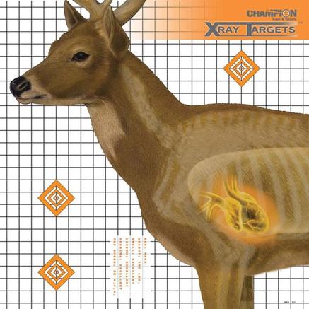 Champion X-Ray Paper Target - Deer Target 25"x25" (6-Pack)